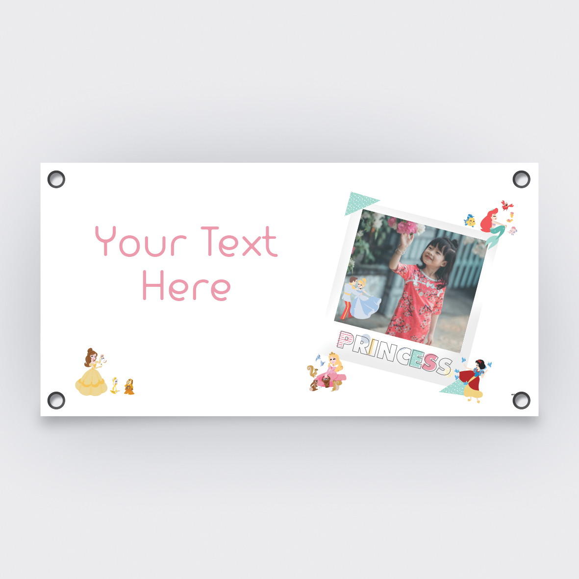 Disney Princess - Micro Princesses